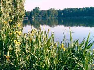 Vakantiehuis Schwerin in Brandenburg Omgeving 28