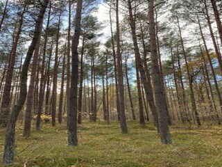 House boat Peenemünde Environment 37