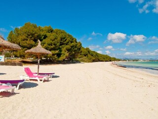 Villa Alcudia Environnement 31