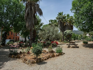 Ferienhaus Sierra De Yeguas Umgebung 64
