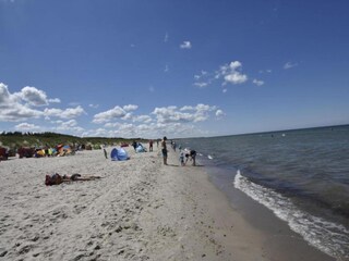 Huisboot Ribnitz-Damgarten Omgeving 24