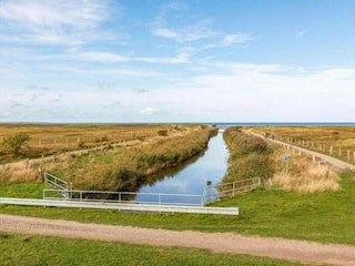 Hausboot Ribnitz-Damgarten Umgebung 45