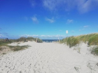 Hausboot Ribnitz-Damgarten Umgebung 43