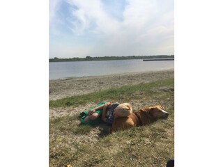 Casa per le vacanze Oostmahorn Ambiente 17