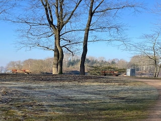 Apartment Geesthacht Environment 31