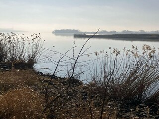 Apartment Geesthacht Umgebung 31