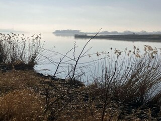 Appartamento Geesthacht Ambiente 31