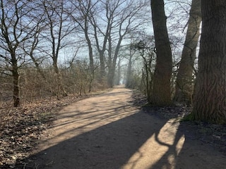 Apartamento Geesthacht Entorno 36