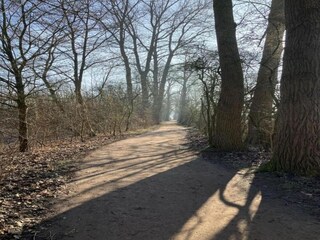 Apartment Geesthacht Environment 25