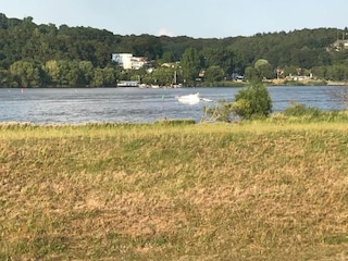 Apartment Geesthacht Environment 38