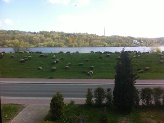 Appartamento Geesthacht Ambiente 38