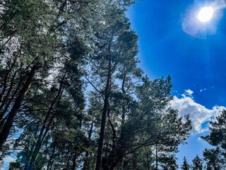 Apartamento Geesthacht Entorno 39