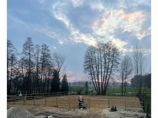 Apartamento Schneverdingen Grabación al aire libre 1