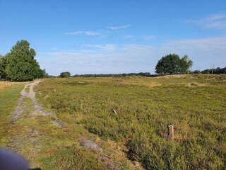 Apartment Schneverdingen Environment 18