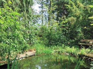 Apartment Schneverdingen Environment 28