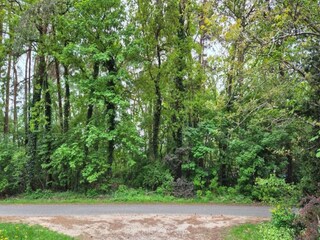 Appartamento Schneverdingen Ambiente 24