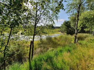 Appartamento Schneverdingen Ambiente 21