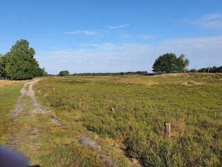 Appartamento Schneverdingen Ambiente 19