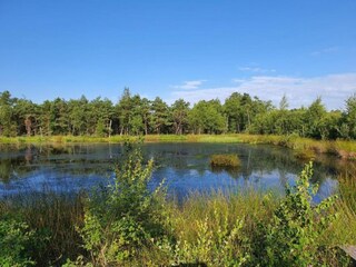 Appartement Schneverdingen Environnement 22