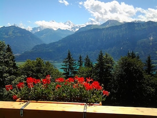 Vom Balkon im Sommer