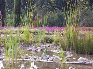 Appartamento Schneverdingen Ambiente 38