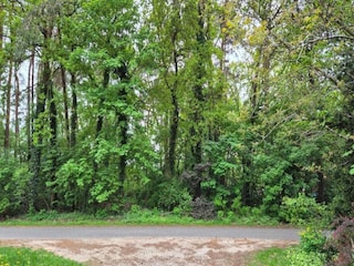 Apartment Schneverdingen Umgebung 37