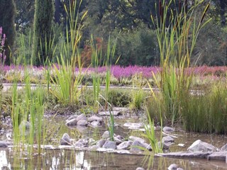 Appartement Schneverdingen Omgeving 41