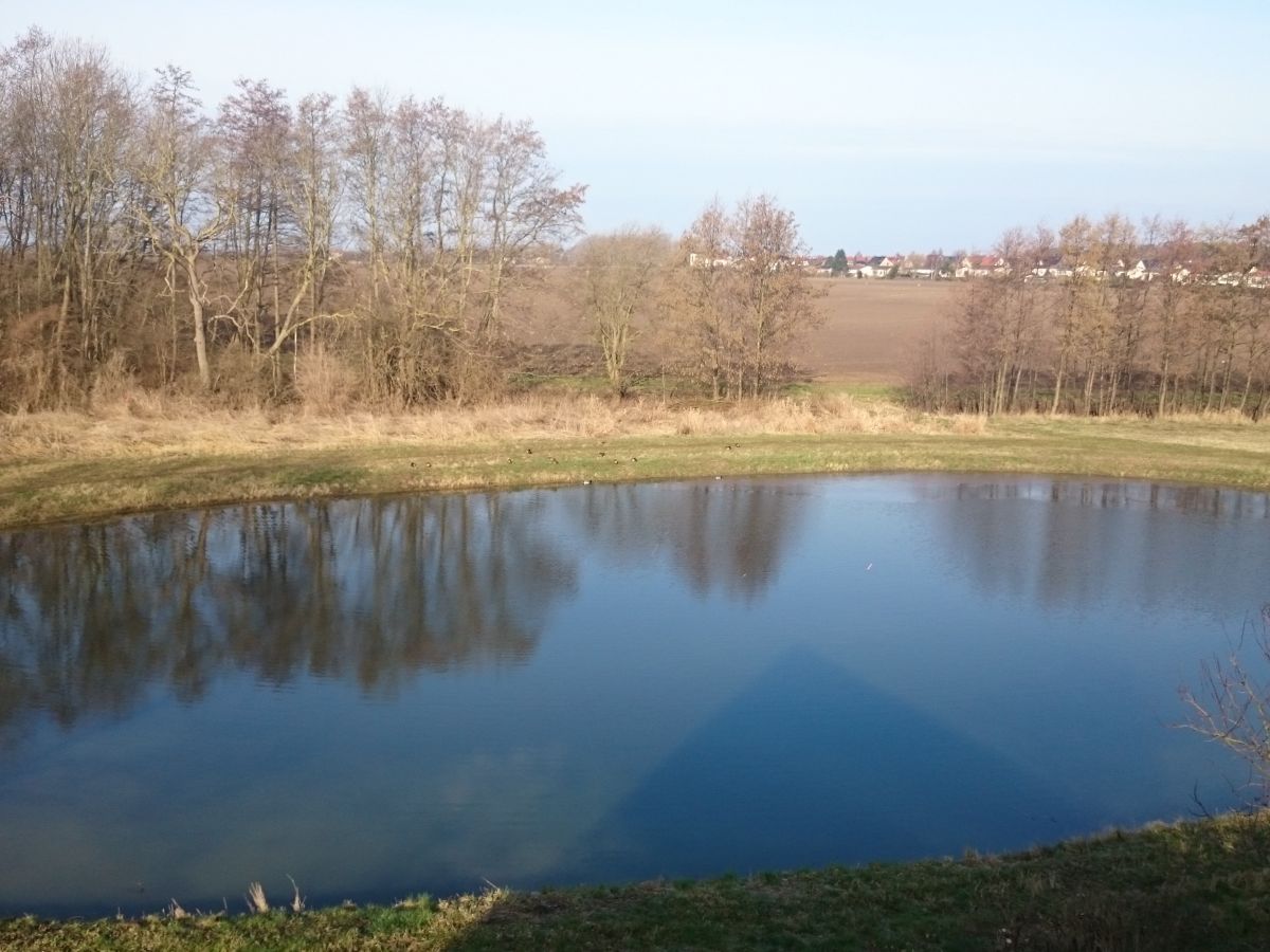 Blick vom Spitzbodenfenster aus