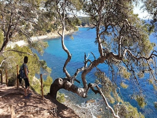 Apartment Saint-Mandrier-sur-Mer Umgebung 24