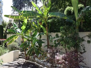 Appartement Vallauris Buitenaudio-opname 5