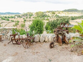 Villa Lloret de Vistalegre Grabación al aire libre 10
