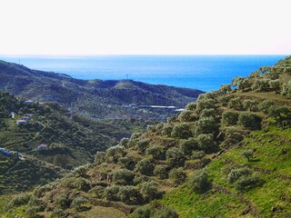 Casa per le vacanze Torrox Pueblo Caratteristiche 3