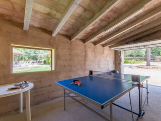 Villa Son Carrió  50