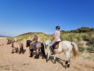 Casa per le vacanze Ouddorp Ambiente 30