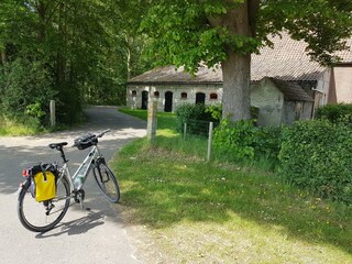 Casa per le vacanze Ouddorp Ambiente 37