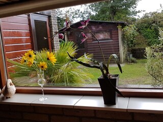 Casa per le vacanze Ouddorp Registrazione all'aperto 7