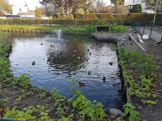 Casa per le vacanze Ouddorp Ambiente 18