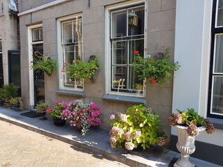 Casa per le vacanze Ouddorp Ambiente 35