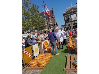 Casa per le vacanze Ouddorp Ambiente 39