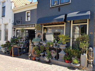 Casa per le vacanze Ouddorp Ambiente 36