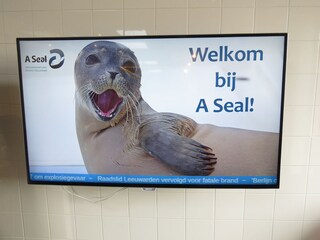 Casa per le vacanze Ouddorp Documento 45