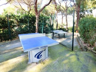 Apartment Saint-Mandrier-sur-Mer  14