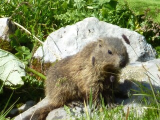 Appartamento per vacanze Raggal Ambiente 25