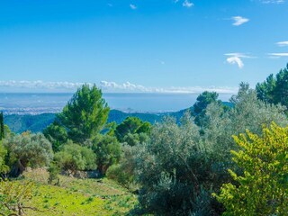 Villa Puigpunyent Outdoor Recording 10