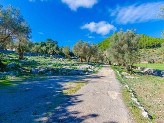 Villa Puigpunyent Buitenaudio-opname 11