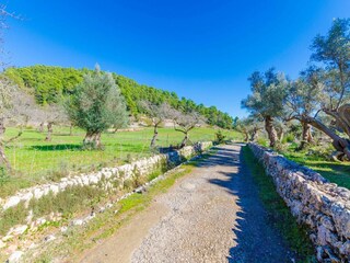 Villa Puigpunyent Buitenaudio-opname 27