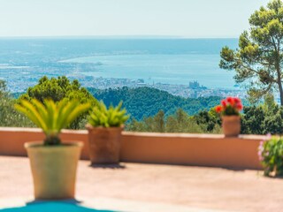 Villa Puigpunyent Buitenaudio-opname 57