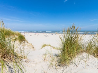 Vakantiehuis Ballum Omgeving 28