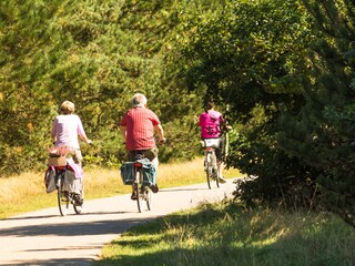 Vakantiehuis Ballum Omgeving 33