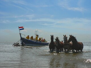 Holiday house Ballum Environment 29